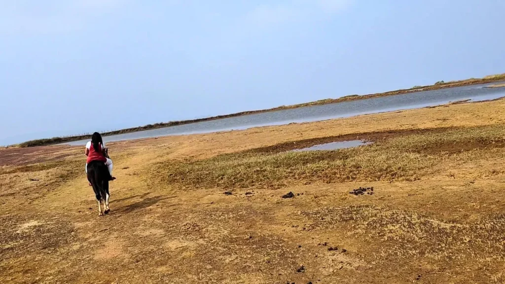 Save money on horse riding at Panchgani Table Land, Panchgani table par horse riding scam