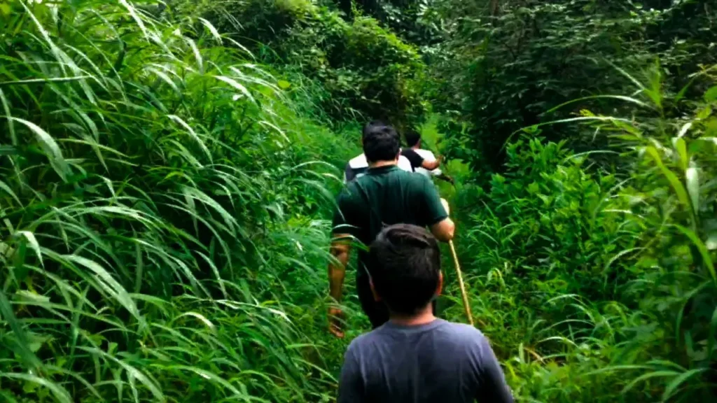 jungle path during pandar waterfall trekking