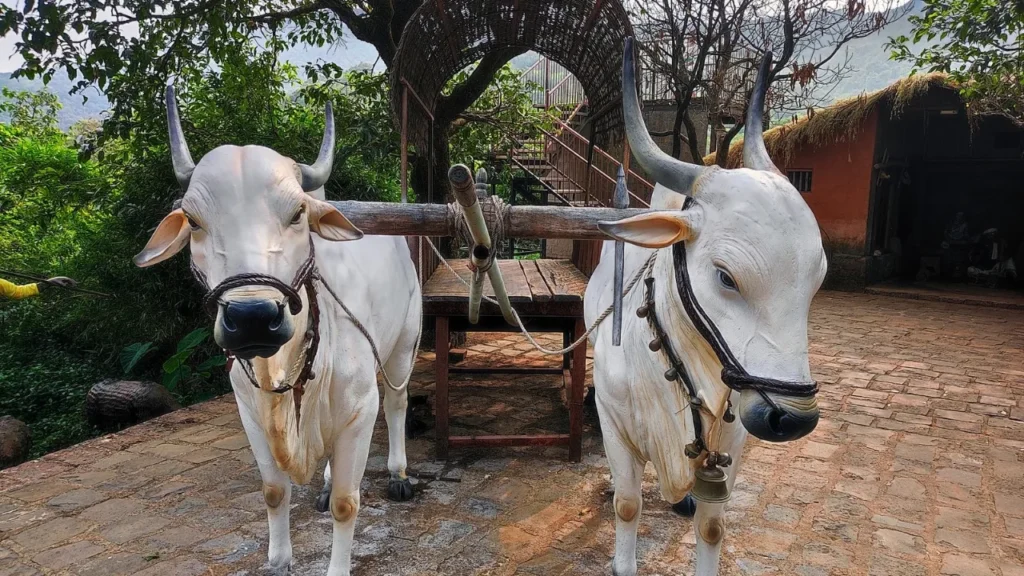 shivkalin khedegaon kya hai kaha hai