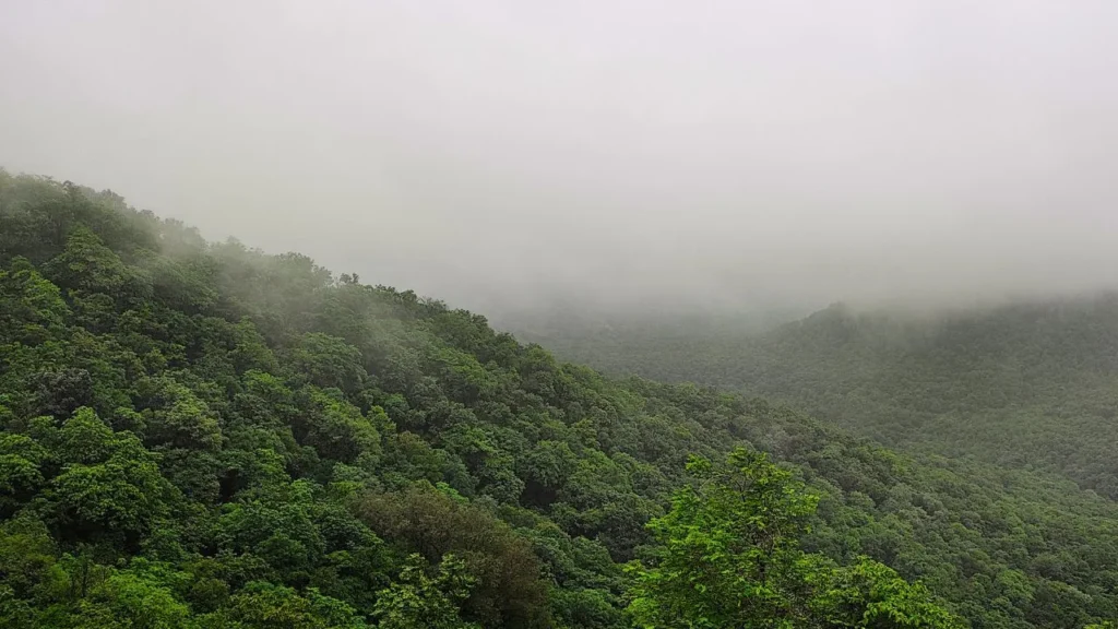 bafariyo dungar trek base near gaumukh waterfall