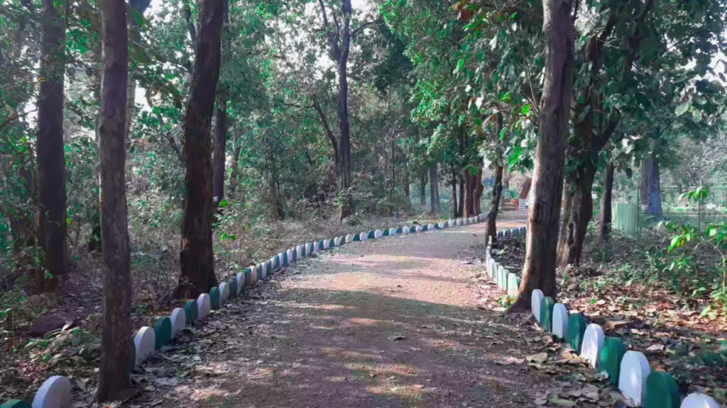 padam dungari nature walking path