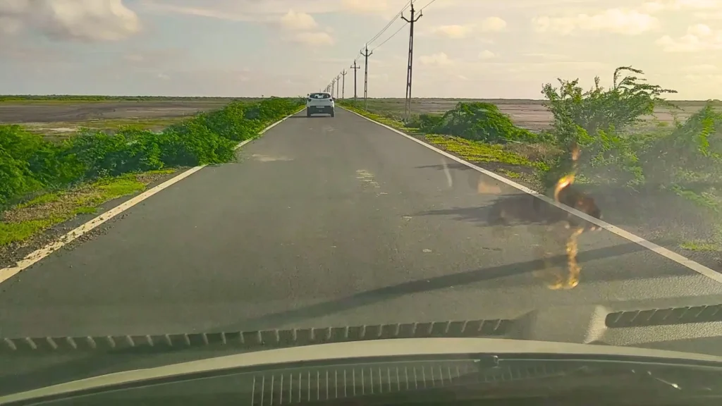 beautiful dabhari beach road